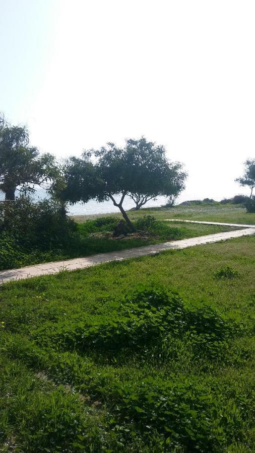 Вілла Il Mare Ларнака Екстер'єр фото